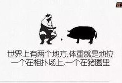爆料牛蛙视频文案搞笑版,文案搞笑版，笑到肚子疼！